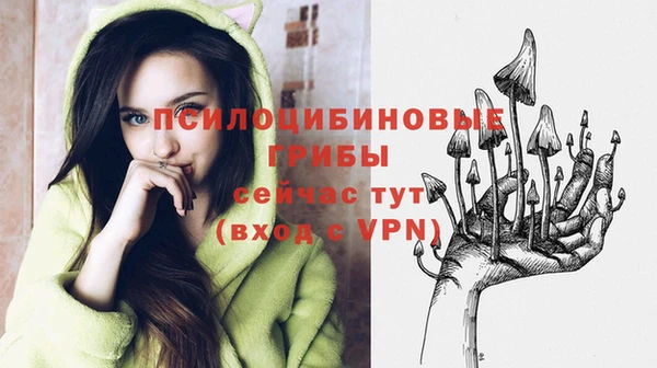 Альфа ПВП Верхнеуральск