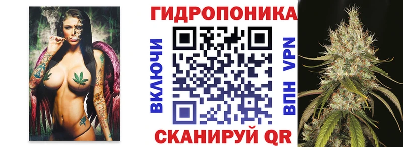 Бошки Шишки сатива  где можно купить наркотик  blacksprut вход  Щучье 